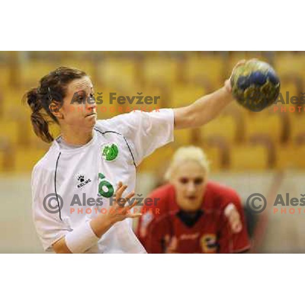 Gros at handball match RK Olimpija - ZRK Celje Celjske Mesnine, 15.11.2008 