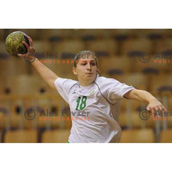 Jeglic at handball match RK Olimpija - ZRK Celje Celjske Mesnine, 15.11.2008 