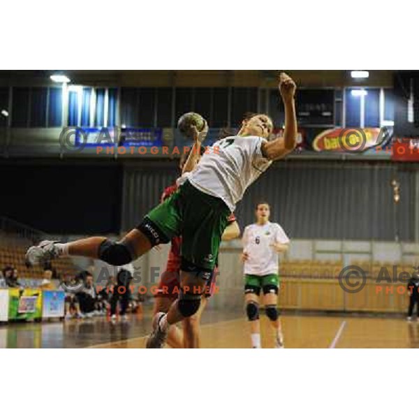 Gojkovic at handball match RK Olimpija - ZRK Celje Celjske Mesnine, 15.11.2008 