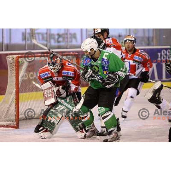 Tomaz Vnuk at ice-hockey match Tilia Olimpija- TWK Innsbruck in round 21 of EBEL league, played in Hala Tivoli, Ljubljana, Slovenia 16.11.2008 