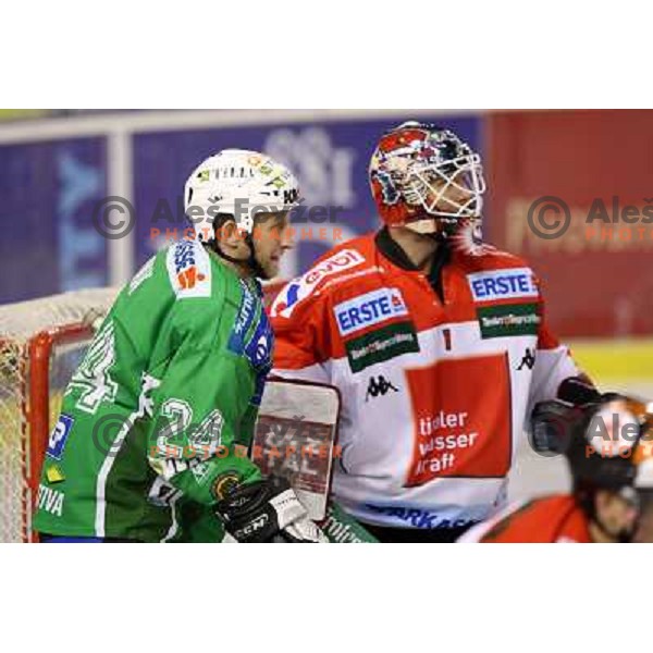 Tomaz Vnuk at ice-hockey match Tilia Olimpija- TWK Innsbruck in round 21 of EBEL league, played in Hala Tivoli, Ljubljana, Slovenia 16.11.2008 