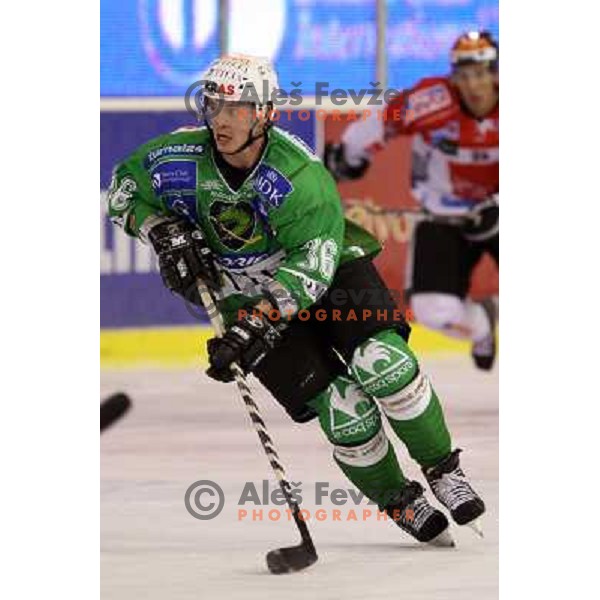 Pasi Petrialinen at ice-hockey match Tilia Olimpija- TWK Innsbruck in round 21 of EBEL league, played in Hala Tivoli, Ljubljana, Slovenia 16.11.2008 