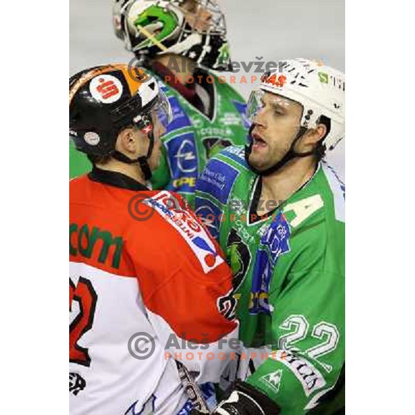 Johner and Kuznik at ice-hockey match Tilia Olimpija- TWK Innsbruck in round 21 of EBEL league, played in Hala Tivoli, Ljubljana, Slovenia 16.11.2008 