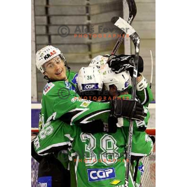Pavlin at ice-hockey match Tilia Olimpija- TWK Innsbruck in round 21 of EBEL league, played in Hala Tivoli, Ljubljana, Slovenia 16.11.2008 