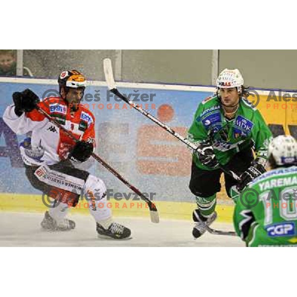 Banham at ice-hockey match Tilia Olimpija- TWK Innsbruck in round 21 of EBEL league, played in Hala Tivoli, Ljubljana, Slovenia 16.11.2008 