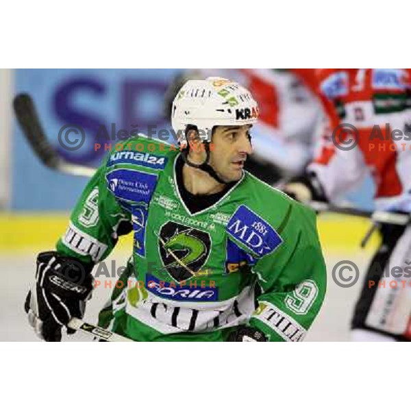 Intranuovo at ice-hockey match Tilia Olimpija- TWK Innsbruck in round 21 of EBEL league, played in Hala Tivoli, Ljubljana, Slovenia 16.11.2008 