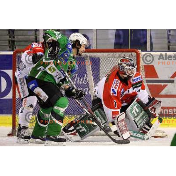 Kotyk at ice-hockey match Tilia Olimpija- TWK Innsbruck in round 21 of EBEL league, played in Hala Tivoli, Ljubljana, Slovenia 16.11.2008 