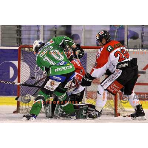 Yarema at ice-hockey match Tilia Olimpija- TWK Innsbruck in round 21 of EBEL league, played in Hala Tivoli, Ljubljana, Slovenia 16.11.2008 