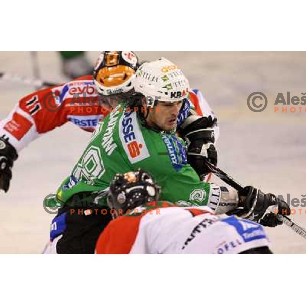 Banham at ice-hockey match Tilia Olimpija- TWK Innsbruck in round 21 of EBEL league, played in Hala Tivoli, Ljubljana, Slovenia 16.11.2008. TWK Innsbruck won 4:2 