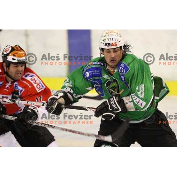 Frank Banham at ice-hockey match Tilia Olimpija- TWK Innsbruck in round 21 of EBEL league, played in Hala Tivoli, Ljubljana, Slovenia 16.11.2008. TWK Innsbruck won 4:2 