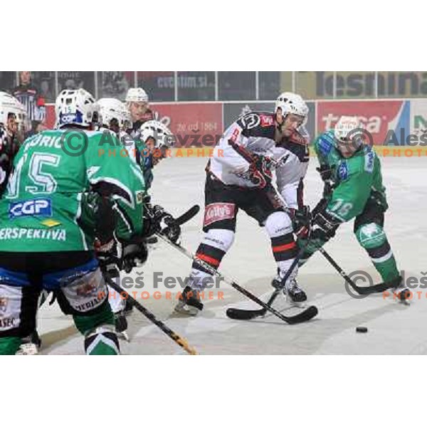 Tomaz Razingar and Ales Music (16) at ice-hockey match Tilia Olimpija- Acroni Jesenice in round 23 of EBEL league, played in Hala Tivoli, Ljubljana, Slovenia 21.11.2008. 