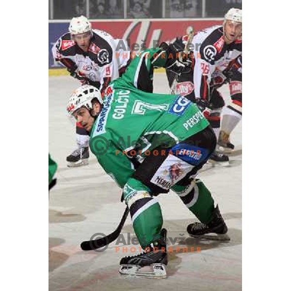 Jurij Golicic at ice-hockey match Tilia Olimpija- Acroni Jesenice in round 23 of EBEL league, played in Hala Tivoli, Ljubljana, Slovenia 21.11.2008. 