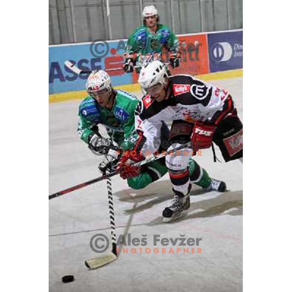 Ziga Pance and David Rodman at ice-hockey match Tilia Olimpija- Acroni Jesenice in round 23 of EBEL league, played in Hala Tivoli, Ljubljana, Slovenia 21.11.2008. 