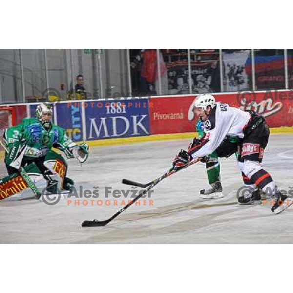Mike Morrison and Tomaz Razingar at ice-hockey match Tilia Olimpija- Acroni Jesenice in round 23 of EBEL league, played in Hala Tivoli, Ljubljana, Slovenia 21.11.2008. 