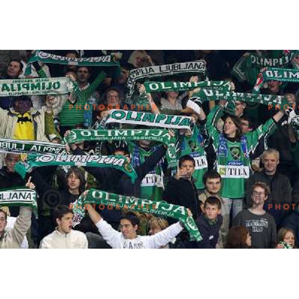 Tilia Olimpija fans at ice-hockey match Tilia Olimpija- Acroni Jesenice in round 23 of EBEL league, played in Hala Tivoli, Ljubljana, Slovenia 21.11.2008. Tilia Olimpija won 4:3 