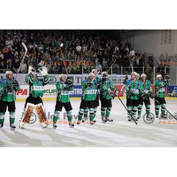 Olimpija players celebrate victory at ice-hockey match Tilia Olimpija- Acroni Jesenice in round 23 of EBEL league, played in Hala Tivoli, Ljubljana, Slovenia 21.11.2008. Tilia Olimpija won 4:3 