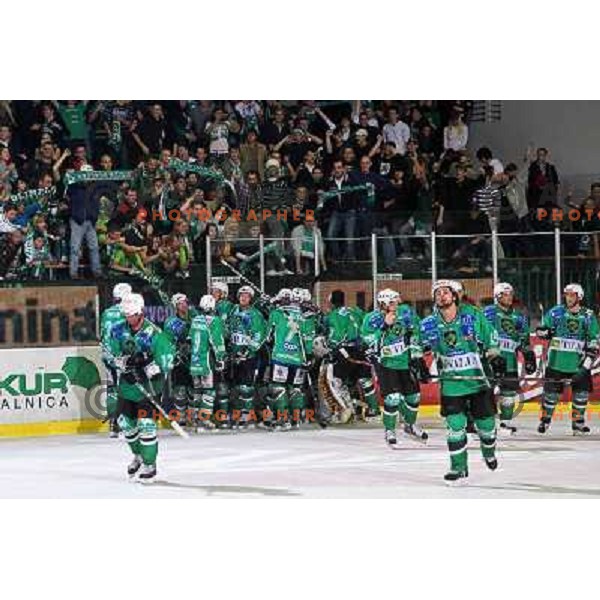 Tilia Olimpija players celebrate victory at ice-hockey match Tilia Olimpija- Acroni Jesenice in round 23 of EBEL league, played in Hala Tivoli, Ljubljana, Slovenia 21.11.2008. Tilia Olimpija won 4:3 