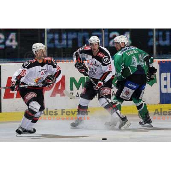 Kovacevic (86), Razingar (9) and Tavzelj at ice-hockey match Tilia Olimpija- Acroni Jesenice in round 23 of EBEL league, played in Hala Tivoli, Ljubljana, Slovenia 21.11.2008. Tilia Olimpija won 4:3 