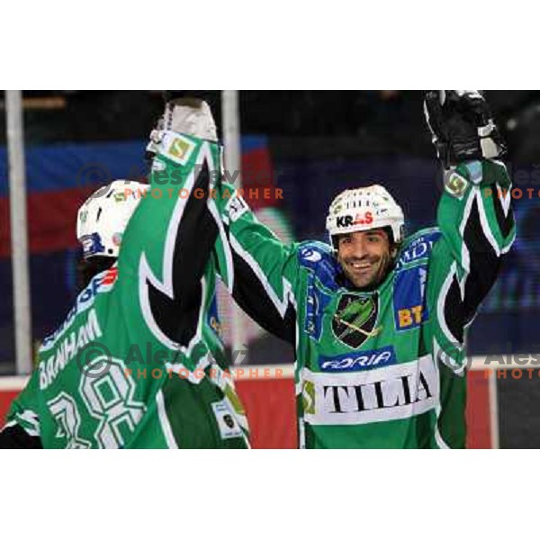 Banham and Intranuovo at ice-hockey match Tilia Olimpija- Acroni Jesenice in round 23 of EBEL league, played in Hala Tivoli, Ljubljana, Slovenia 21.11.2008. Tilia Olimpija won 4:3 