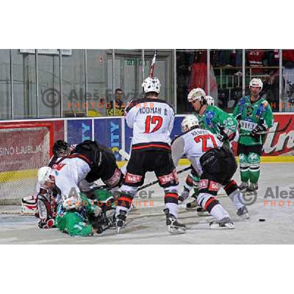 Banham, Elik, Yarema at ice-hockey match Tilia Olimpija- Acroni Jesenice in round 23 of EBEL league, played in Hala Tivoli, Ljubljana, Slovenia 21.11.2008. Tilia Olimpija won 4:3 