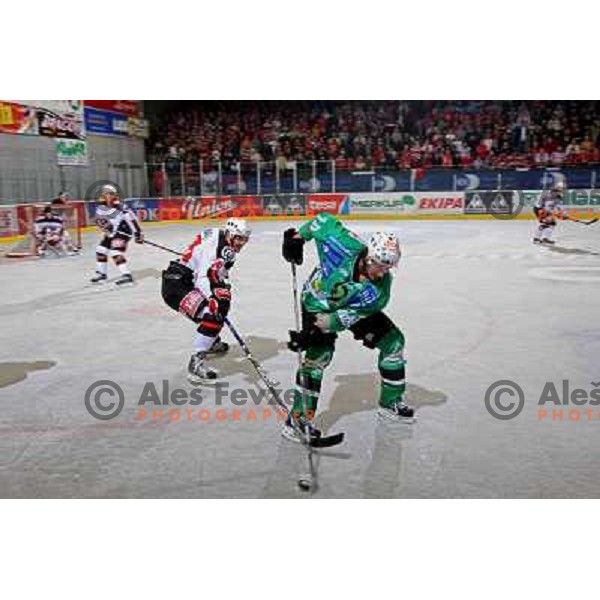 Kranjc and Yarema at ice-hockey match Tilia Olimpija- Acroni Jesenice in round 23 of EBEL league, played in Hala Tivoli, Ljubljana, Slovenia 21.11.2008. Tilia Olimpija won 4:3 