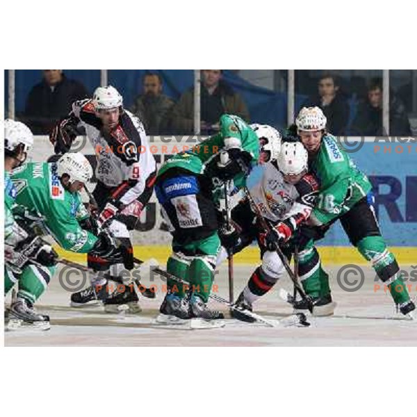 Tomaz Vnuk (24),Tomaz Razingar (9), Brendan Yarema(10), Todd Elik (12), Mitja Robar (51) at ice-hockey match Tilia Olimpija- Acroni Jesenice in round 23 of EBEL league, played in Ljubljana, Slovenia 21.11.2008. Tilia Olimpija won 4:3 