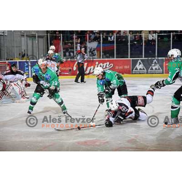 Frank Banham (38), Brendan Yarema(10), at ice-hockey match Tilia Olimpija- Acroni Jesenice in round 23 of EBEL league, played in Ljubljana, Slovenia 21.11.2008. Tilia Olimpija won 4:3 