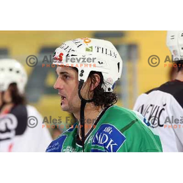 Frank Banham (38) at ice-hockey match Tilia Olimpija- Acroni Jesenice in round 23 of EBEL league, played in Ljubljana, Slovenia 21.11.2008. Tilia Olimpija won 4:3 