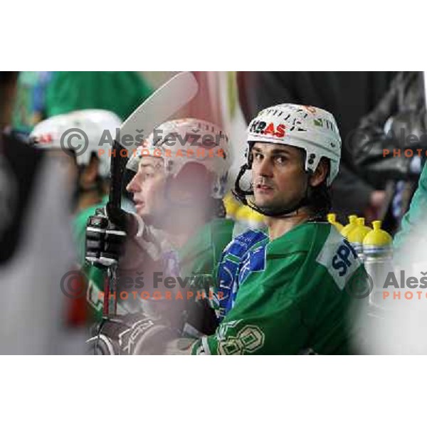 Frank Banham (38) at ice-hockey match Tilia Olimpija- Acroni Jesenice in round 23 of EBEL league, played in Ljubljana, Slovenia 21.11.2008. Tilia Olimpija won 4:3 