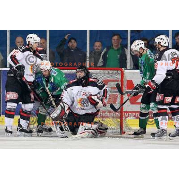 David Rodman (12), Ales Music, Gaber Glavic,Jurij Golicic (7), Ales Kranjc at ice-hockey match Tilia Olimpija- Acroni Jesenice in round 23 of EBEL league, played in Ljubljana, Slovenia 21.11.2008. Tilia Olimpija won 4:3 