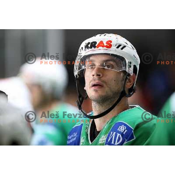Jurij Golicic at ice-hockey match Tilia Olimpija- Acroni Jesenice in round 23 of EBEL league, played in Ljubljana, Slovenia 21.11.2008. Tilia Olimpija won 4:3 