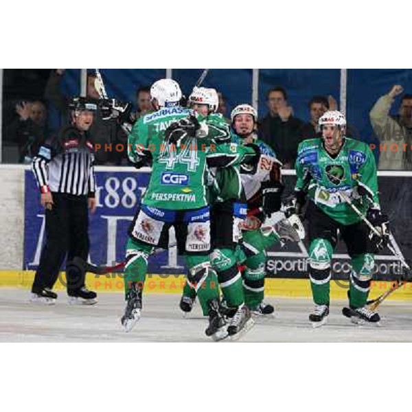 Andrej Tavzelj, Ales Music, Brendan Yarema(10), Jurij Golicic at ice-hockey match Tilia Olimpija- Acroni Jesenice in round 23 of EBEL league, played in Ljubljana, Slovenia 21.11.2008. Tilia Olimpija won 4:3 