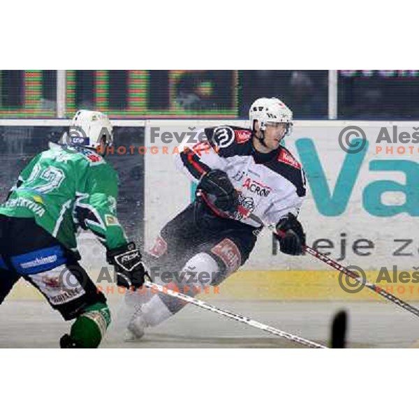 David Rodman (12), Greg Kuznik (22) at ice-hockey match Tilia Olimpija- Acroni Jesenice in round 23 of EBEL league, played in Ljubljana, Slovenia 21.11.2008. Tilia Olimpija won 4:3 