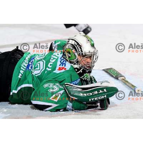 Mike Morrison at ice-hockey match Tilia Olimpija- Acroni Jesenice in round 23 of EBEL league, played in Ljubljana, Slovenia 21.11.2008. Tilia Olimpija won 4:3 