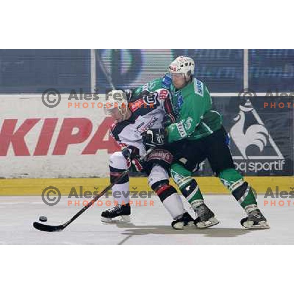 Kovacevic, Muric at ice-hockey match Tilia Olimpija- Acroni Jesenice in round 23 of EBEL league, played in Ljubljana, Slovenia 21.11.2008. Tilia Olimpija won 4:3 