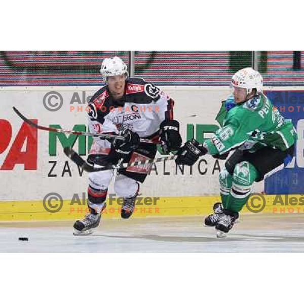  Marcel Rodman (22) and Pasi Petrilainen at ice-hockey match Tilia Olimpija- Acroni Jesenice in round 23 of EBEL league, played in Ljubljana, Slovenia 21.11.2008. Tilia Olimpija won 4:3 