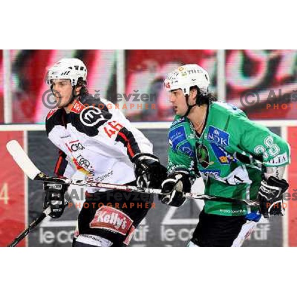 Frank Banham (38) and Gregor Poloncic at ice-hockey match Tilia Olimpija- Acroni Jesenice in round 23 of EBEL league, played in Ljubljana, Slovenia 21.11.2008. Tilia Olimpija won 4:3 