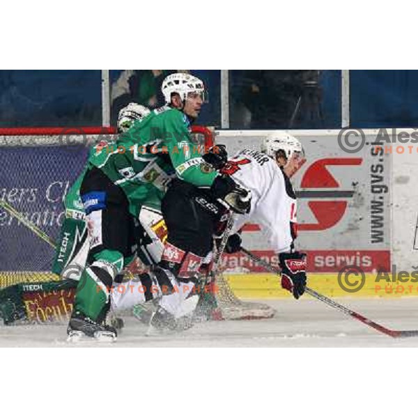 Jurij Golicic(7), Boris Pretnar at ice-hockey match Tilia Olimpija- Acroni Jesenice in round 23 of EBEL league, played in Ljubljana, Slovenia 21.11.2008. Tilia Olimpija won 4:3 