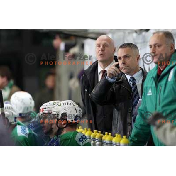 Bojan Zajc and Randy Edmonds at ice-hockey match Tilia Olimpija- Acroni Jesenice in round 23 of EBEL league, played in Ljubljana, Slovenia 21.11.2008. Tilia Olimpija won 4:3 