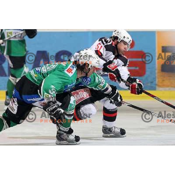 Frank Banham (38),Mitja Robar at ice-hockey match Tilia Olimpija- Acroni Jesenice in round 23 of EBEL league, played in Ljubljana, Slovenia 21.11.2008. Tilia Olimpija won 4:3 