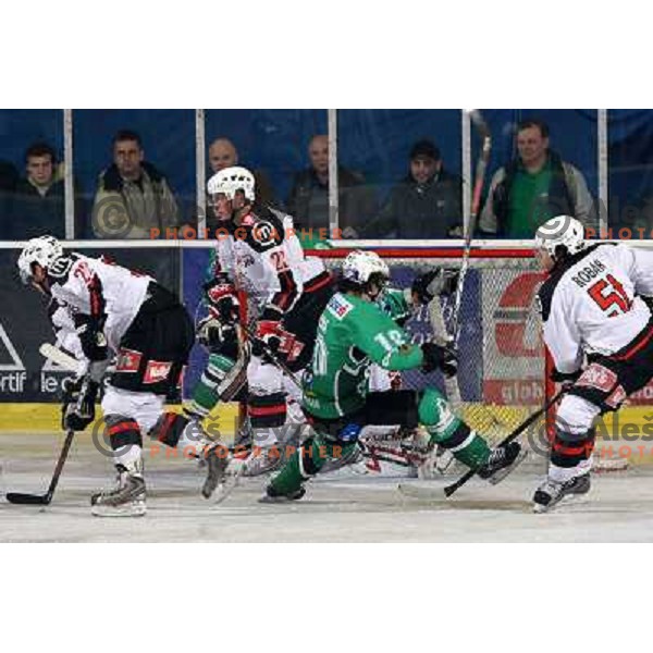 Damjan Dervaric (23), Brendan Yarema(10), Mitja Robar (51), Marcel Rodman (22) at ice-hockey match Tilia Olimpija- Acroni Jesenice in round 23 of EBEL league, played in Ljubljana, Slovenia 21.11.2008. Tilia Olimpija won 4:3 