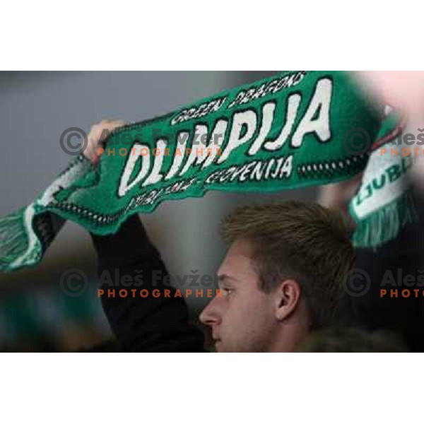 Olimpija fan at ice-hockey match Tilia Olimpija- Acroni Jesenice in round 23 of EBEL league, played in Ljubljana, Slovenia 21.11.2008. Tilia Olimpija won 4:3 