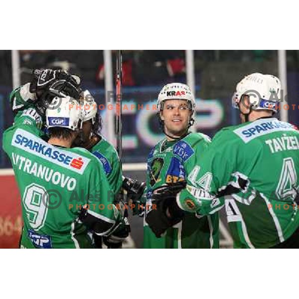 Frank Banham (38), Ralph Intranuovo (9), Kevin Muitchell, Andrej Tavzelj at ice-hockey match Tilia Olimpija- Acroni Jesenice in round 23 of EBEL league, played in Ljubljana, Slovenia 21.11.2008. Tilia Olimpija won 4:3 