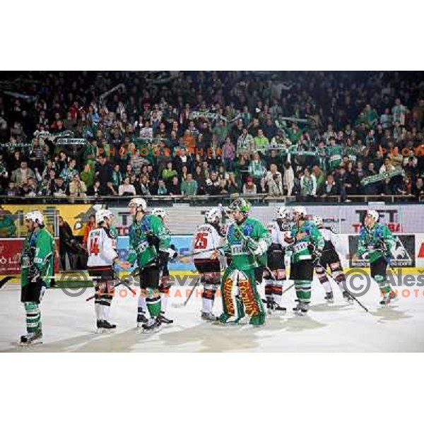 Frank Banham (38), Ralph Intranuovo (9), Mike morrison, Ziga Pavlin (34) at ice-hockey match Tilia Olimpija- Acroni Jesenice in round 23 of EBEL league, played in Ljubljana, Slovenia 21.11.2008. Tilia Olimpija won 4:3 