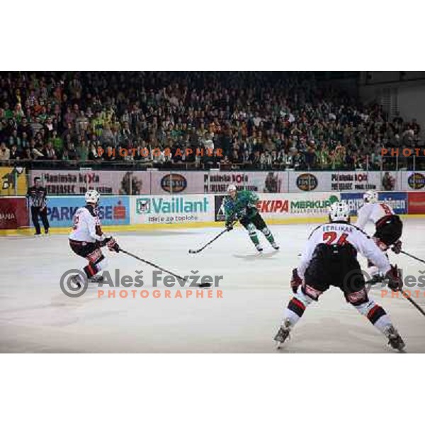 Ziga Pavlin at ice-hockey match Tilia Olimpija- Acroni Jesenice in round 23 of EBEL league, played in Ljubljana, Slovenia 21.11.2008. Tilia Olimpija won 4:3 