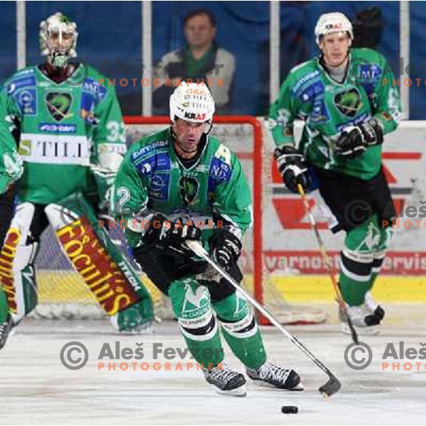 Todd Elik (12) at ice-hockey match Tilia Olimpija- Acroni Jesenice in round 23 of EBEL league, played in Ljubljana, Slovenia 21.11.2008. Tilia Olimpija won 4:3 