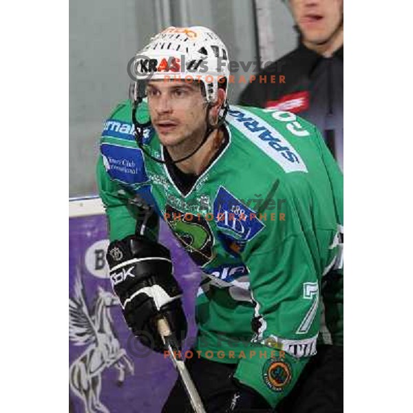 Jurij Golicic at ice-hockey match Tilia Olimpija- Acroni Jesenice in round 23 of EBEL league, played in Ljubljana, Slovenia 21.11.2008. Tilia Olimpija won 4:3 