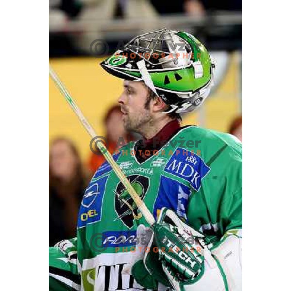 Mike Morrison at ice-hockey match Tilia Olimpija- Acroni Jesenice in round 23 of EBEL league, played in Ljubljana, Slovenia 21.11.2008. Tilia Olimpija won 4:3 
