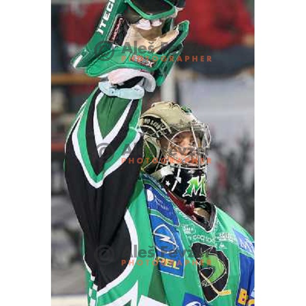 Mike Morrison at ice-hockey match Tilia Olimpija- Acroni Jesenice in round 23 of EBEL league, played in Ljubljana, Slovenia 21.11.2008. Tilia Olimpija won 4:3 