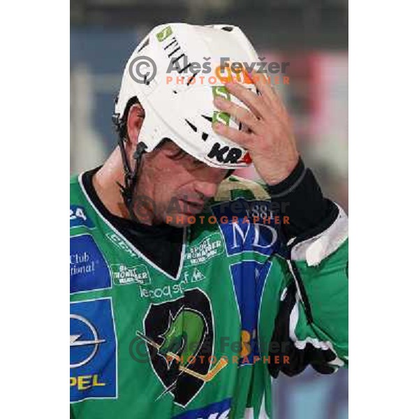  Todd Elik (12) at ice-hockey match Tilia Olimpija- Acroni Jesenice in round 23 of EBEL league, played in Ljubljana, Slovenia 21.11.2008. Tilia Olimpija won 4:3 